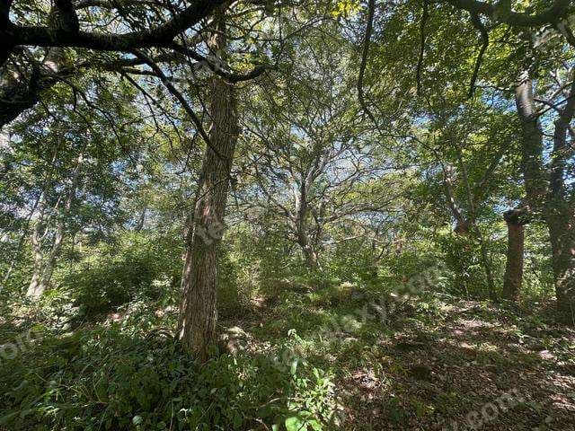 Venta de Lote en Turrúcares de Alajuela. RAH 27-529 USO DE SUELO AGRÍCOLA