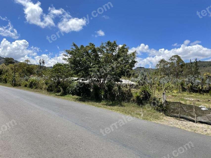 Venta de Lote en El Guarco-Tobosí. RAH 25-1087 USO DE SUELO MIXTO