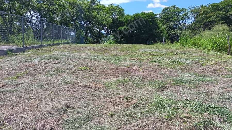OPORTUNIDAD LOTE EN VENTA EN BAGACES, GUANACASTE! 🌿