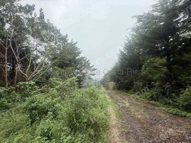 Venta de Terreno en Calle Montaña Tranquila, Santa Bárbara de Heredia. RAH 27-697