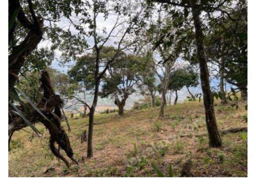 Venta de Lote en Piedades de Santa Ana. RAH 25-1246