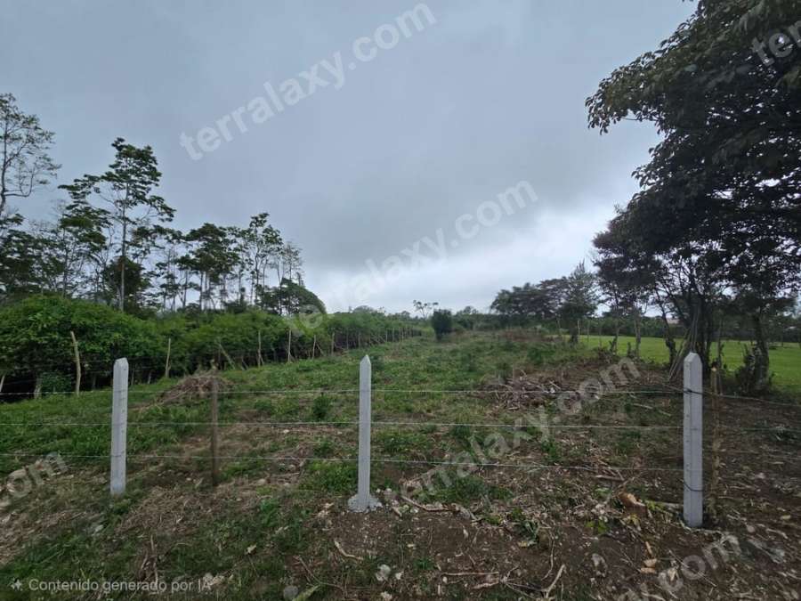 VENDO LOTE EN CARTAGO.