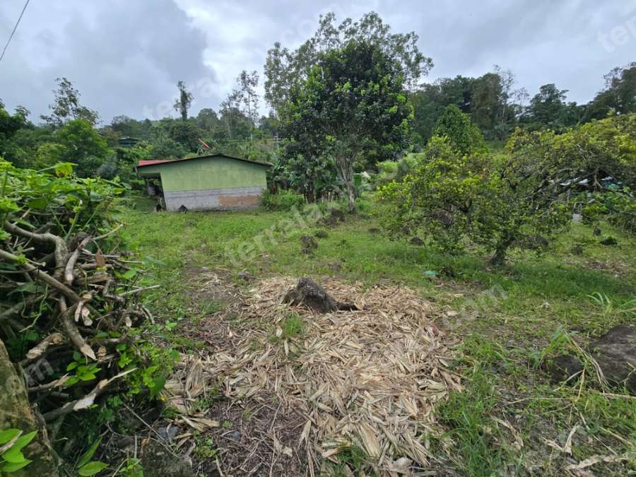 VENDO TERRENO EN TURRIALBA DE CARTAGO.