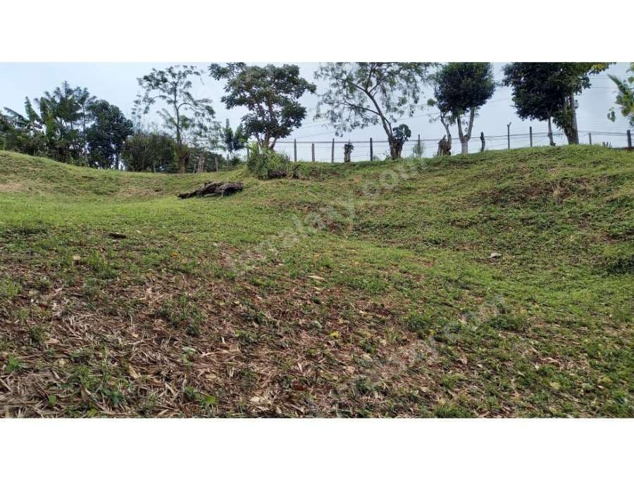 VENDO LOTE EN PURISCAL.